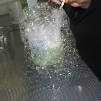 tsa_ScienceClub (14)
